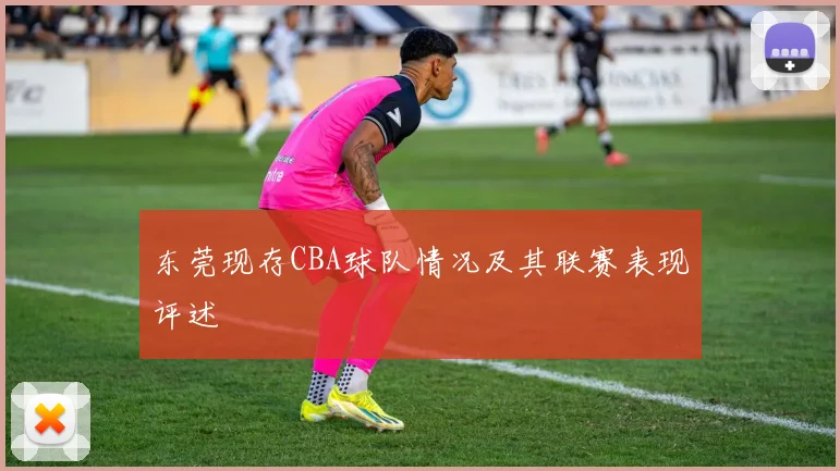 东莞现存CBA球队情况及其联赛表现评述